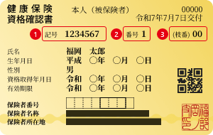 保険証見本
